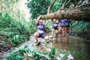 BIB: 
                            <button type="button" onclick="openModal(25515846)" class="btn btn-primary btn-sm float-right btn-popup" data-toggle="modal" data-target=".modal-high-quality">
                        <i class="fas fa-shopping-cart"></i> Add to Cart
                    </button>
                                            <button type="button" onclick="isThisMe(25515846, true)" class="btn btn-success btn-sm float-right btn-popup btn-isme hidden" data-toggle="tooltip" data-placement="bottom" title="นี่คือรูปของคุณใช่ไหม คลิกที่นี่เพื่อเอาเข้าอัลบั้ม">
                        <i class="fas fa-plus"></i> Add to album
                    </button>
                    <button type="button" onclick="isThisMe(25515846, false)" class="btn btn-warning btn-sm float-right btn-popup btn-isnotme hidden">
                        <i class="fas fa-ban"></i> Remove from album
                    </button>